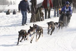 Lenk 2012 SM